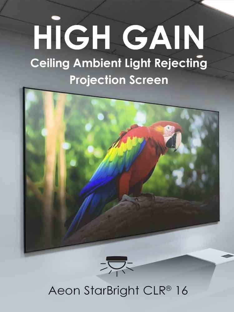 Ambient Light Rejecting Screens