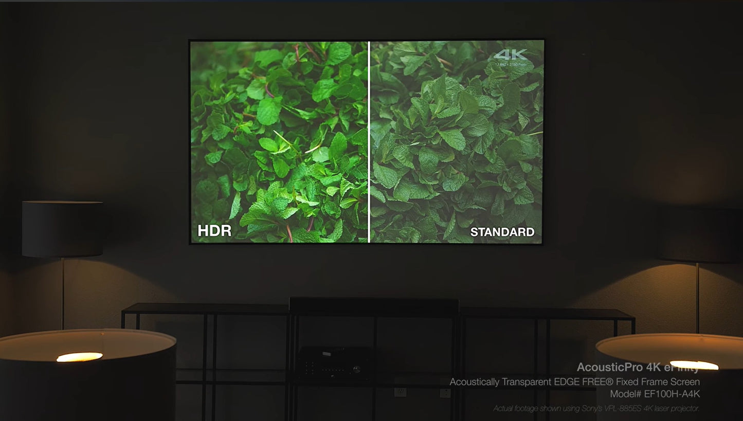 AcousticPro 4K eFinity