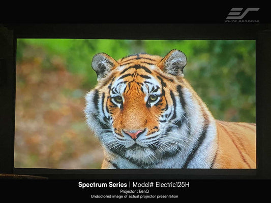 125" Spectrum Electric Motorized Projection Screen w/BenQ