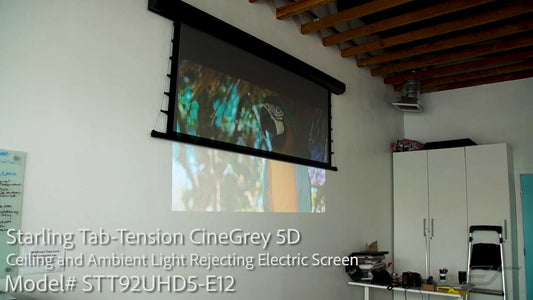 92" Starling Tab-Tension 2 CineGrey 5D Motorized ALR / CLR Projection Screen at Youth Organization