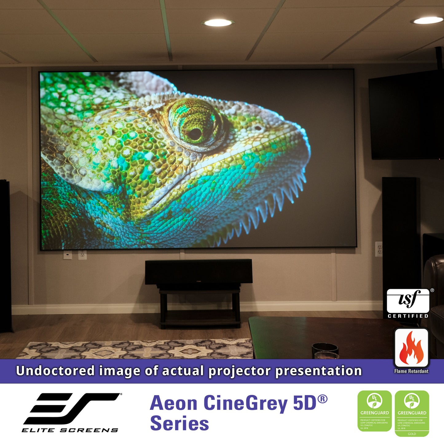 Projector screen displaying a chameleon on a wall in a home theater setting with Elite Screens branding.