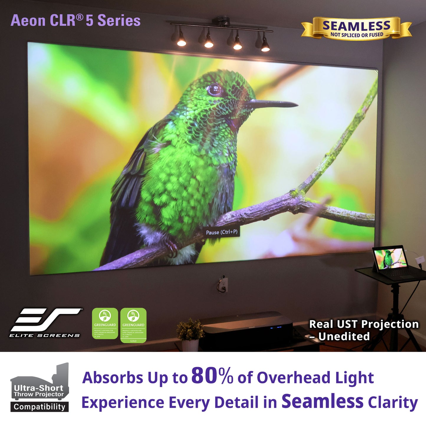 Large screen displaying a green hummingbird with Elite Screens branding and product features.