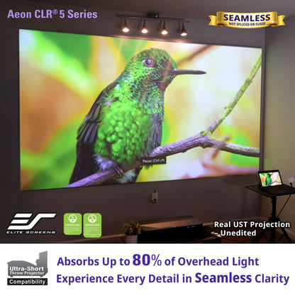 Large screen displaying a green hummingbird with Elite Screens branding and product features.