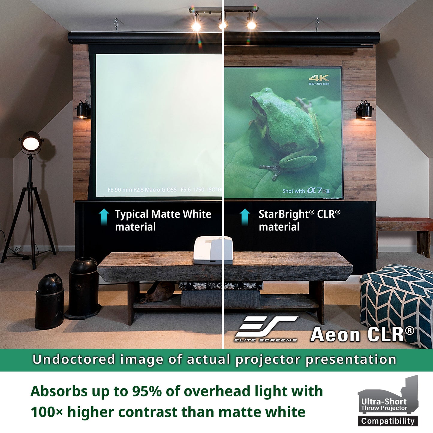 Comparison of projector screen material on a wall with a frog image displayed.