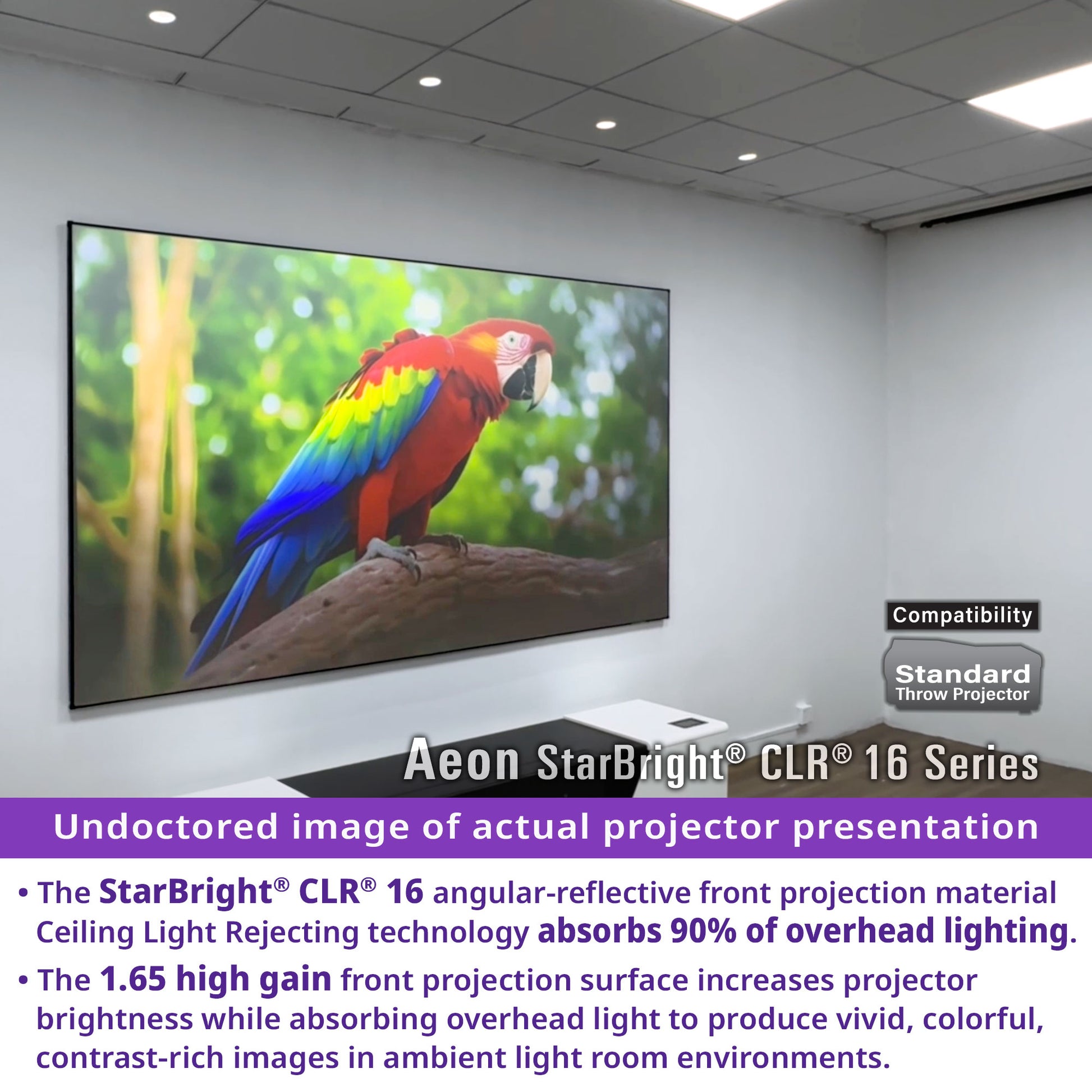 Large screen displaying a colorful parrot with Aeon StarBright CLR 16 Series projector information.