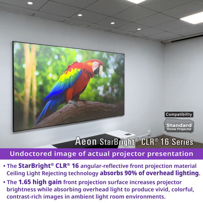 Large screen displaying a colorful parrot with Aeon StarBright CLR 16 Series projector information.