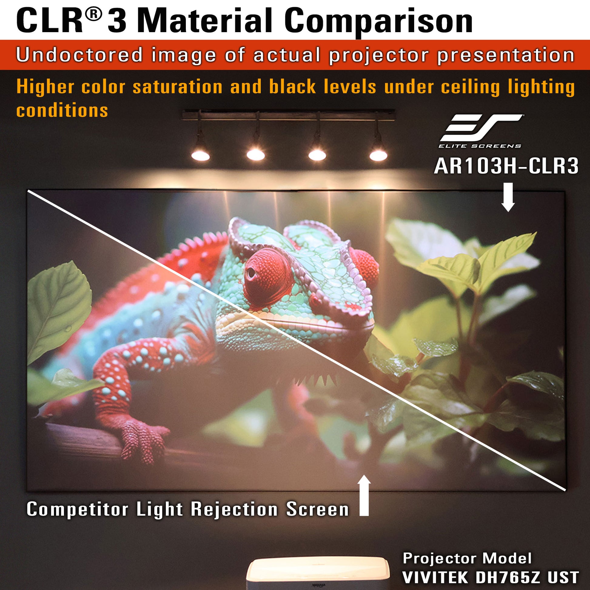 Comparison of projector screen material with chameleon on screen