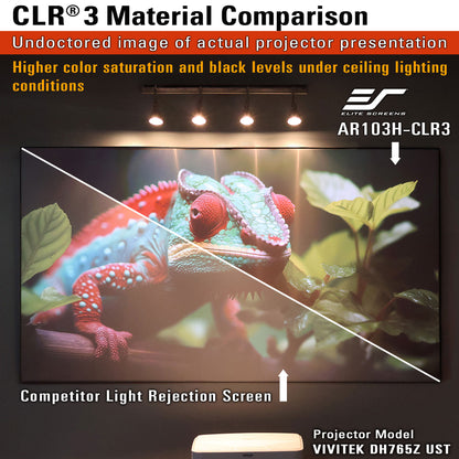 Comparison of projector screen material with chameleon on screen