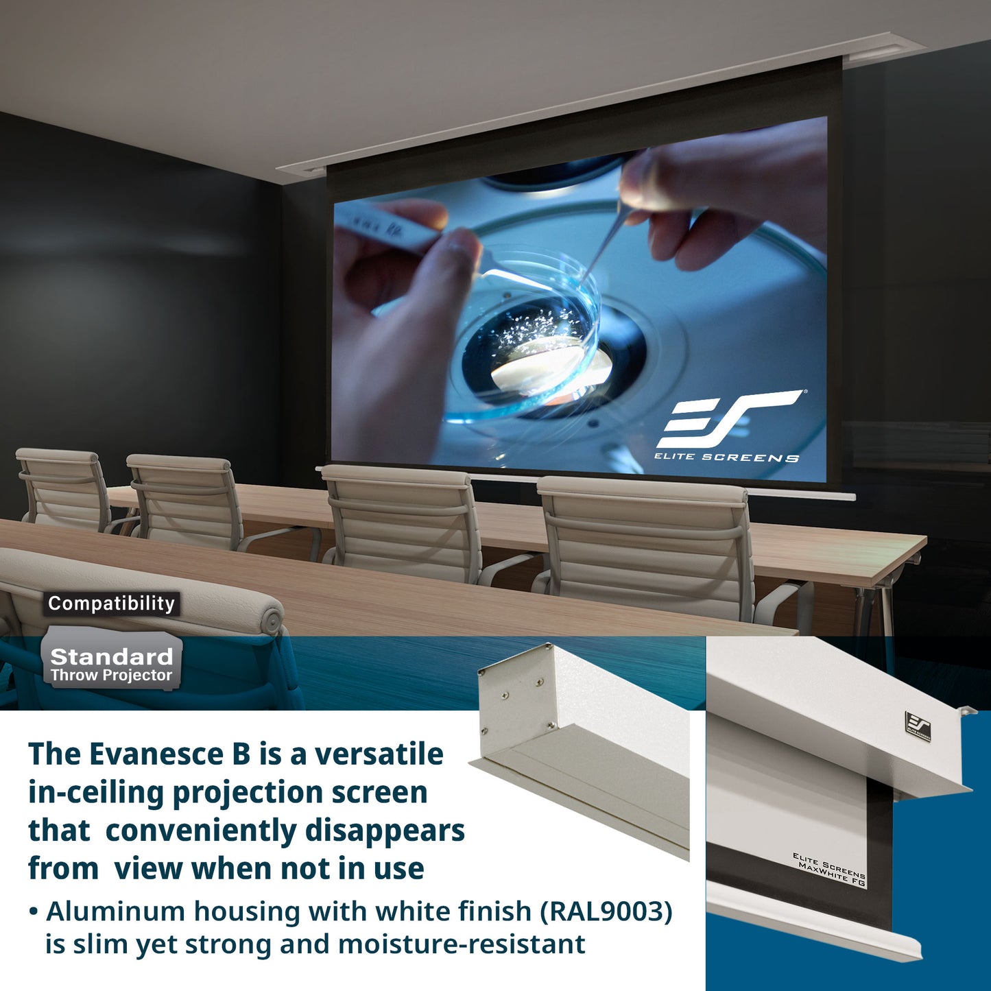 Elite Screens Evansce B projection screen in a room setting with text about its features.