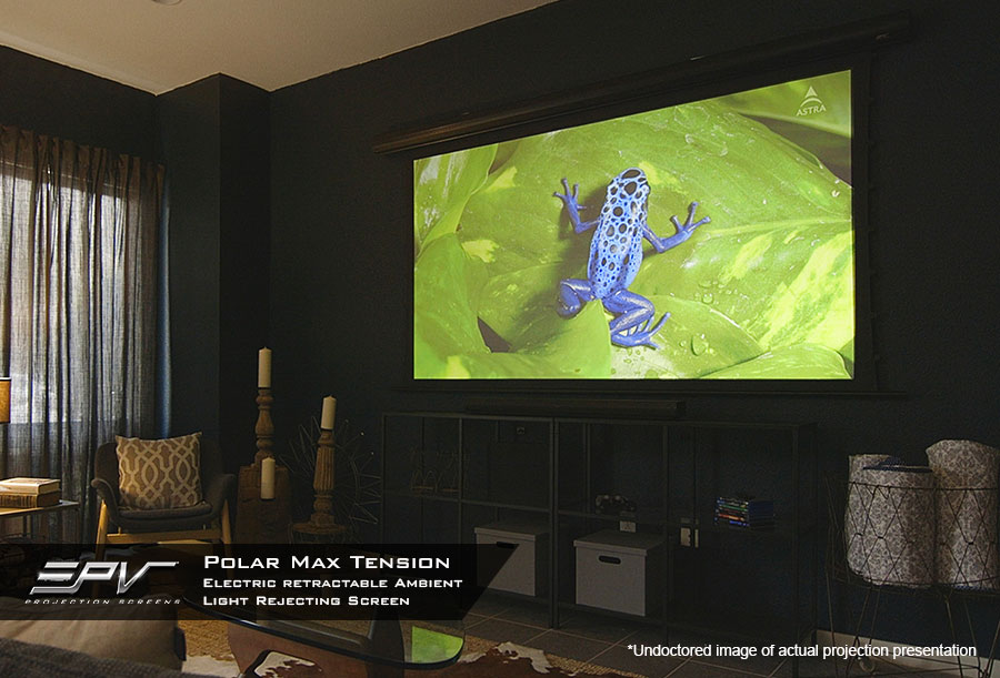 A large ambient light reflecting screen mounted on a dark wall in a home theater setting, displaying a vibrant blue poison dart frog on a green leaf. The room features dark walls, a movie theater-style speaker bar, and comfortable seating.