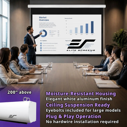 A large white ceiling-mounted screen in a conference room setting, shown with a presenter pointing to a market overview slide. Several people are seated around a table facing the screen.