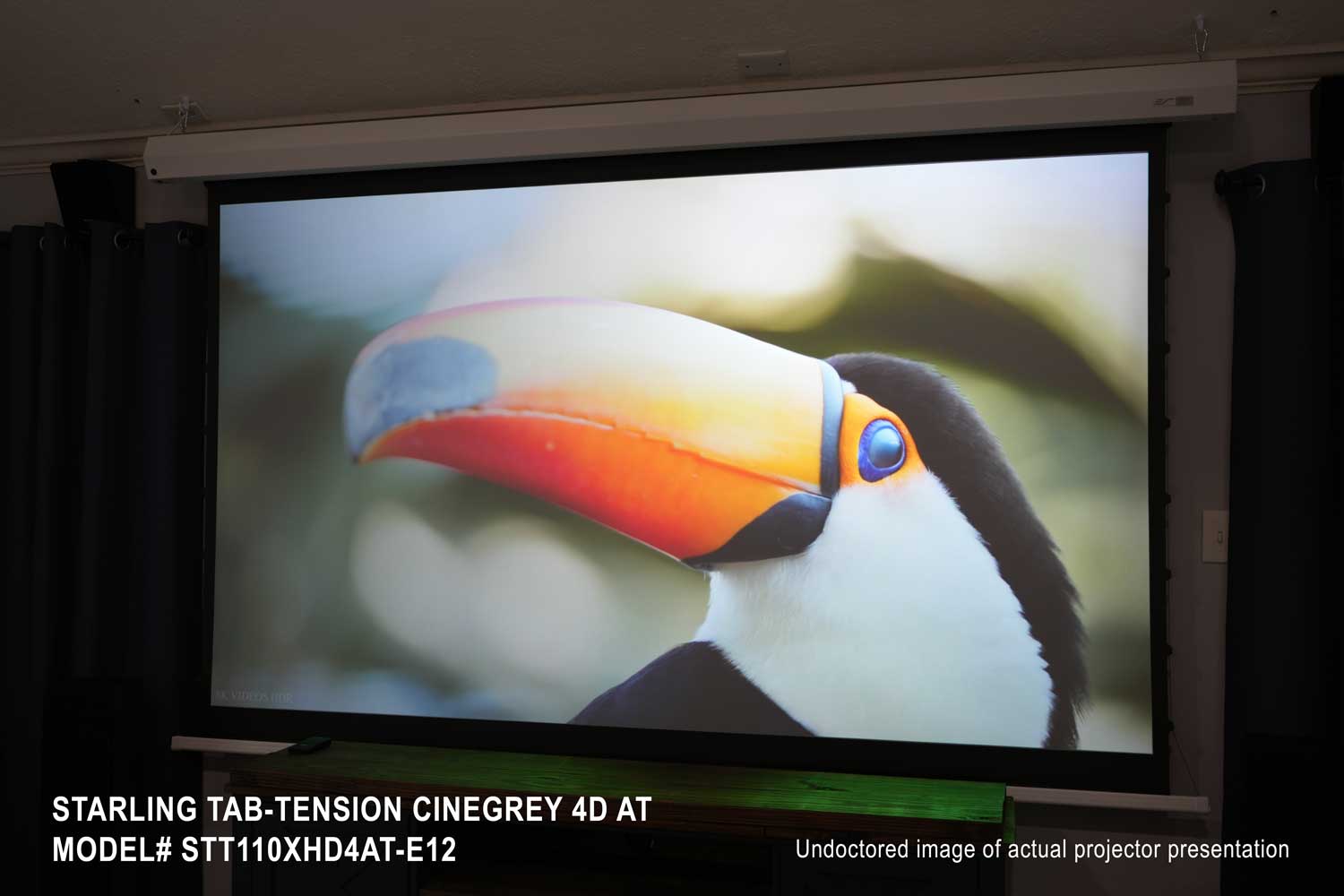 星影ページ 25日迄 Elite Screens] Starling Tab-Tension CineGrey 4D AT Series