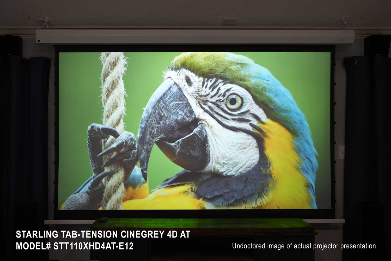 星影ページ 25日迄 Elite Screens] Starling Tab-Tension CineGrey 4D AT Series