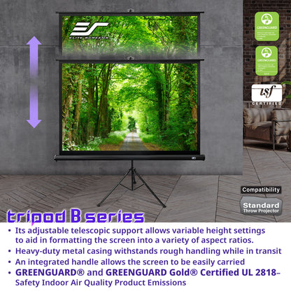 Elite Screens tripod B series projector screen with green forest design on a gray wall.