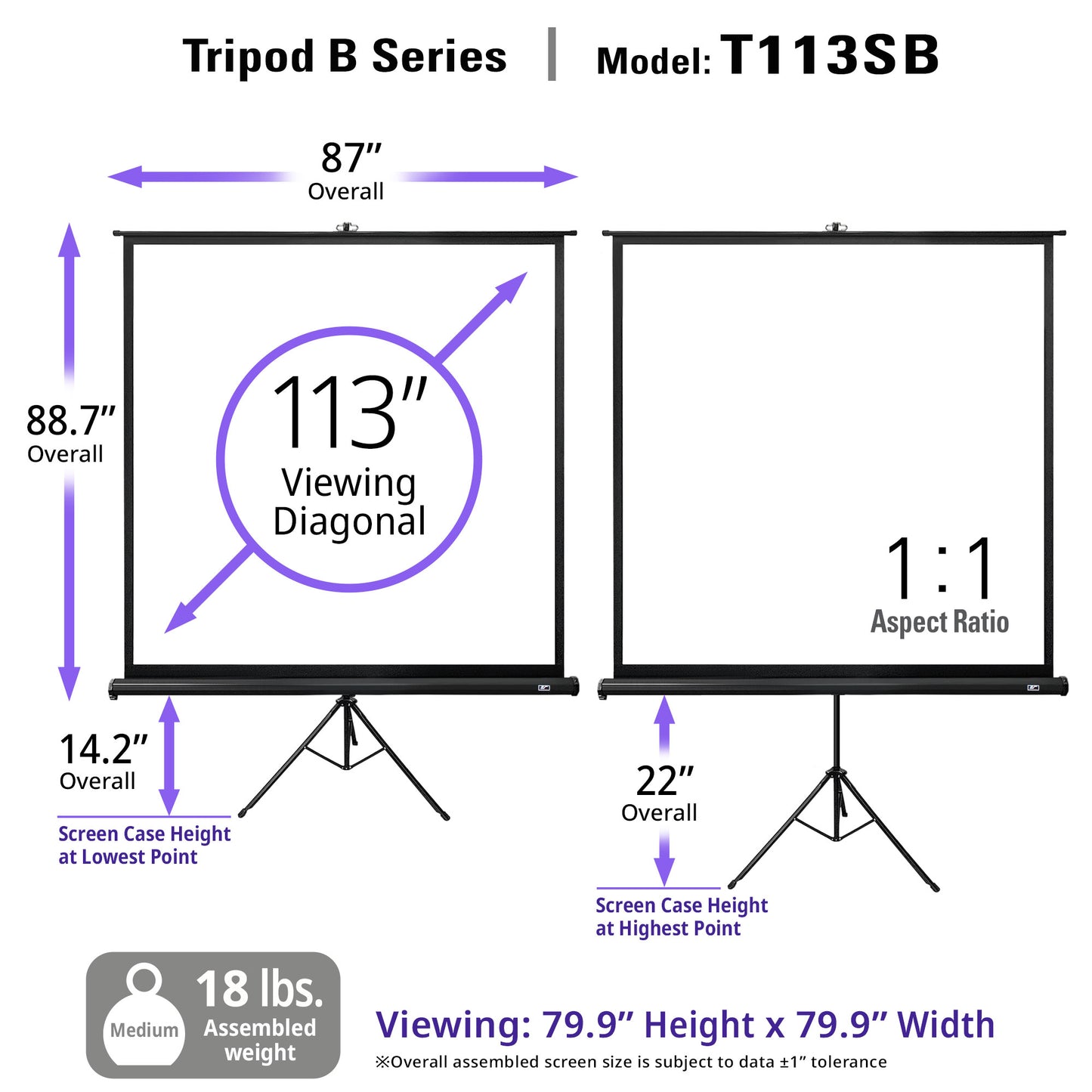 Technical specifications of a Tripod B Series projection screen model T113SB on a white background.