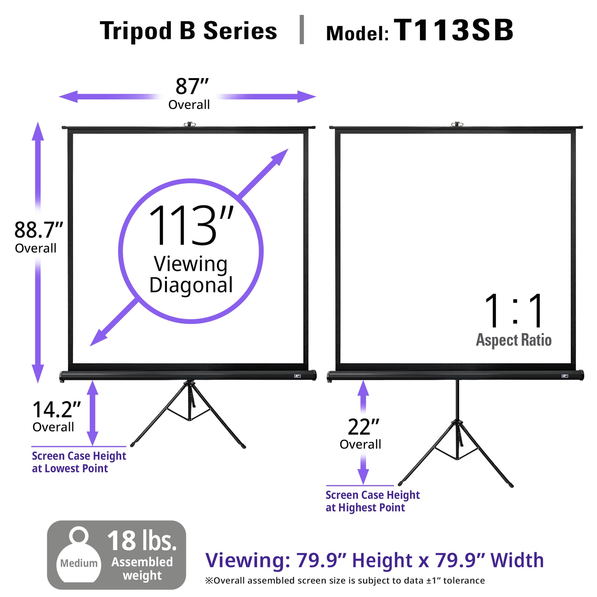 Technical specifications of a Tripod B Series projection screen model T113SB on a white background.