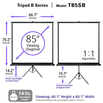 Diagram of a 85-inch Tripod B Series screen model T85SB with dimensions and features.