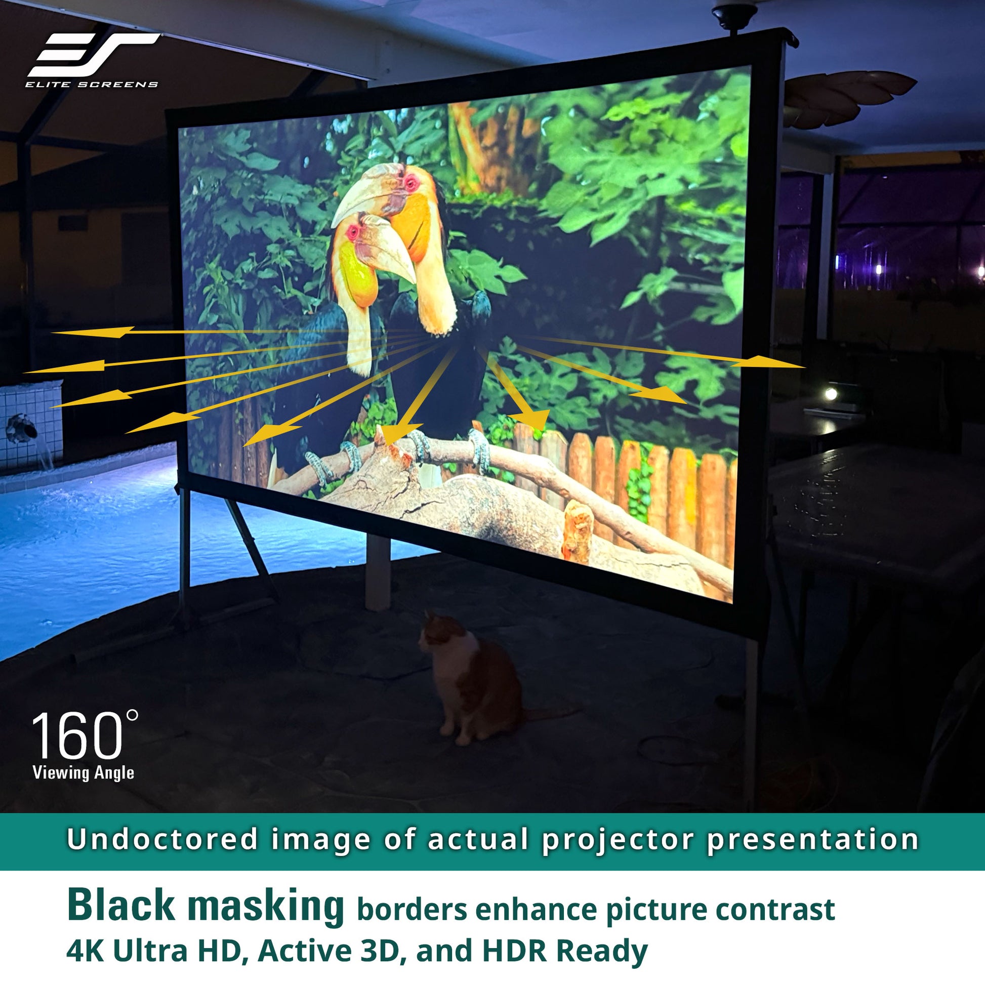 Projector screen displaying a nature scene with a bird, surrounded by pool and outdoor furniture.