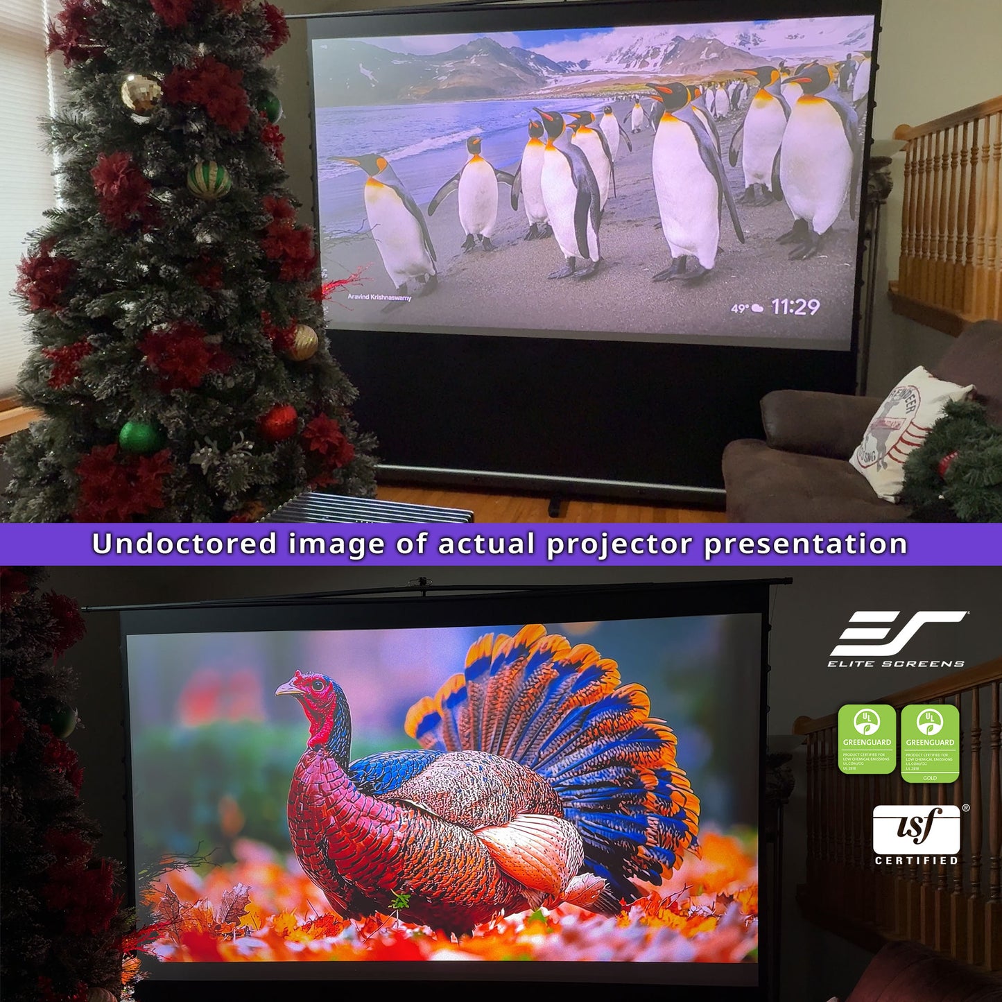 [Elite Screens] ezCinema Tab-Tension CineGrey 4D Series