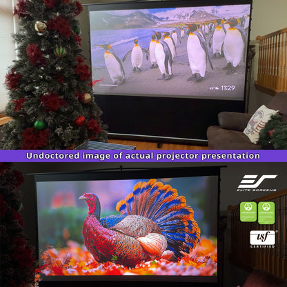 [Elite Screens] ezCinema Tab-Tension CineGrey 4D Series